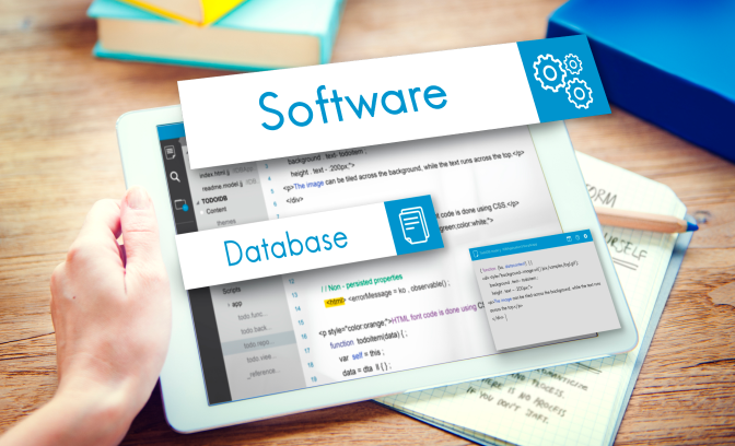 Information Technology & Software