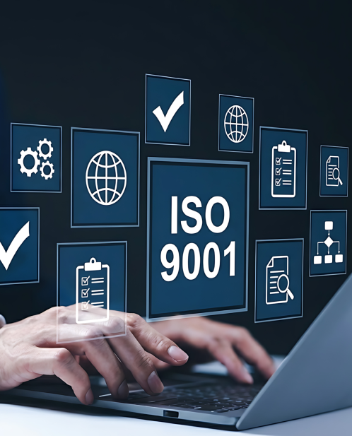 Organizational System Development - IQM