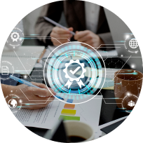 Business Management System Development - IQM